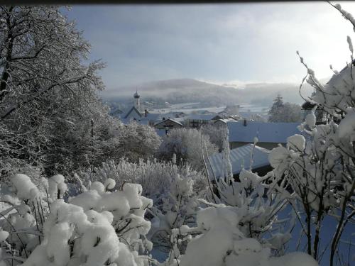 Waldheimat in Miltach