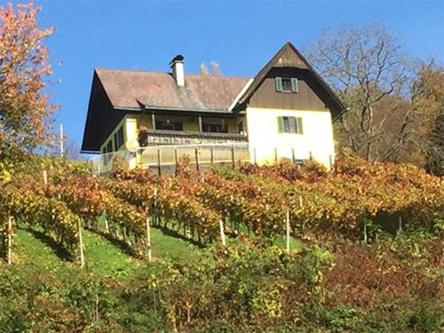  Malerisches Weingartenhäuschen in Kitzeck, Pension in Kitzeck im Sausal bei Sankt Andrä-Höch