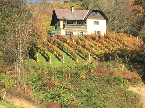 Malerisches Weingartenhäuschen in Kitzeck