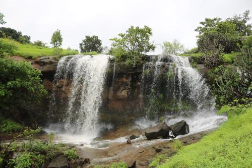 Shinde's Tikona Valley Farm - image 3