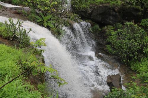 Shinde's Tikona Valley Farm