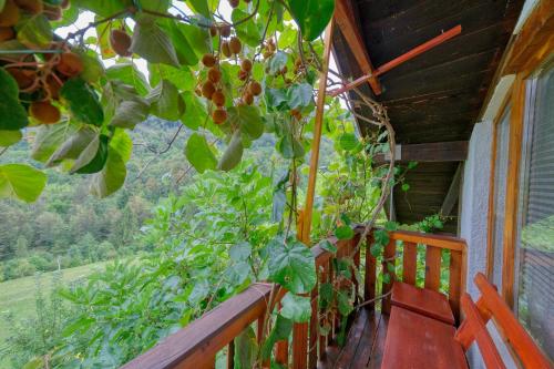 Балкон, Cottage surrounded by forests - The Sunny Hill in Петровче