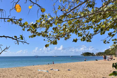 Coqui #3 at Rincon beach, kids and adult pool, beach gate, power and water bup