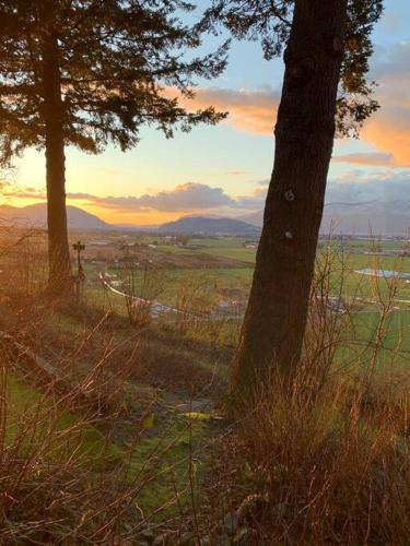 Tiny House Big View, Chilliwack (photo 6)