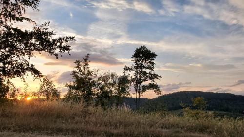 Landgasthof Steuber - Hotel garni 3
