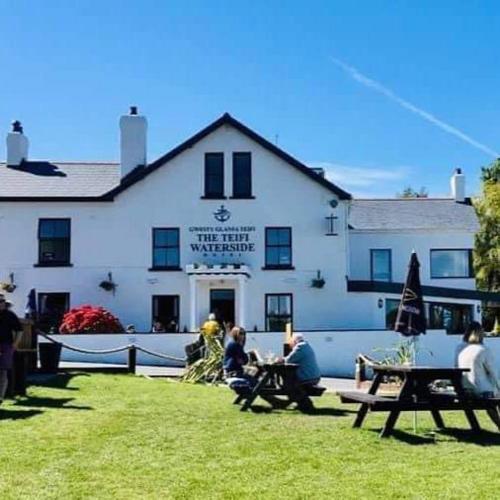 The Teifi Waterside Hotel 4