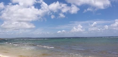 Beach, Les jardins d'Emilie in Le Moule