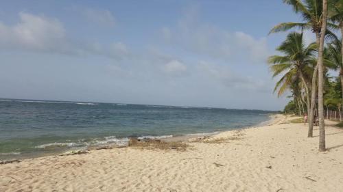 Beach, Les jardins d'Emilie in Le Moule