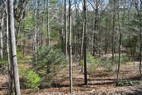 The Camby Cabin just 12 miles to downtown Asheville The Camby Cabin just 12 miles to downtown Asheville