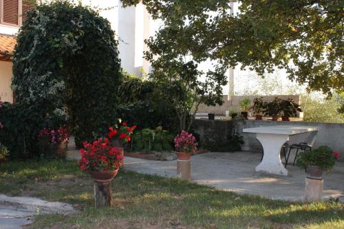 Apartments with a parking space Gracisce, Central Istria - Sredisnja Istra - 7134