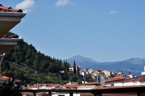Κεντρικό και ευρύχωρο οροφοδιαμέρισμα, Kastoria (foto 9)