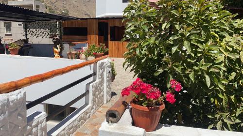 Paraiso Palmeras - Cabanaconde in Cabanaconde