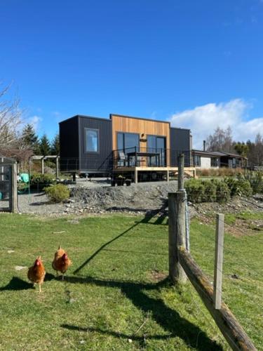 . Boutique Tiny House - Te Anau Country Accommodation