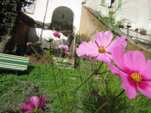 La Maison des Fontaines d'Alsace - image 10