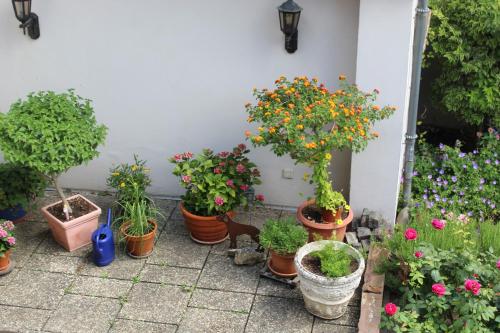 Auszeit im Rheingau, Eltville (fotografie 6)