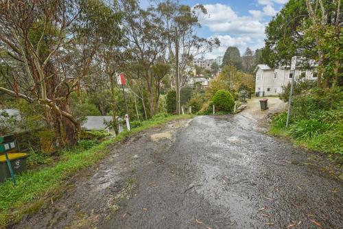 Tree Tops Katoomba