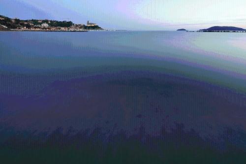 Hotel Florida Lerici - image 8