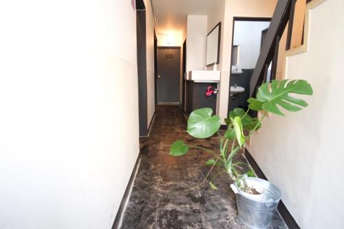 BEPPU hostel&cafe Ourschestra.