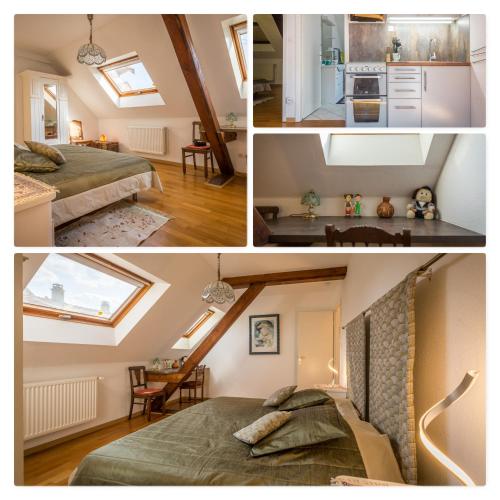 gite du muhlbach in Stotzheim