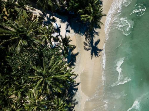 The Dewa Koh Chang