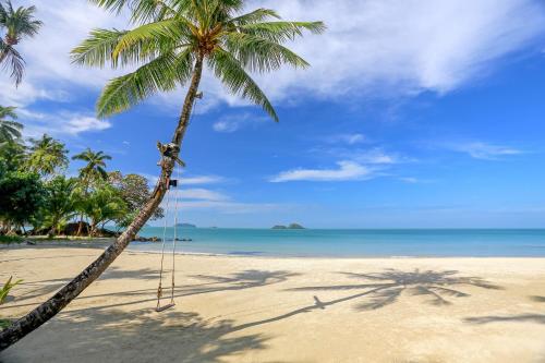 The Dewa Koh Chang