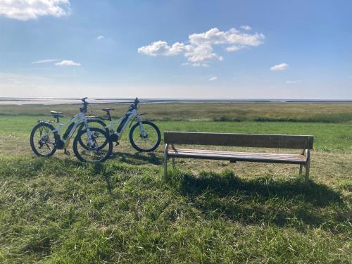 Ferienhaus Frische Brise direkt am Nordsee Deich