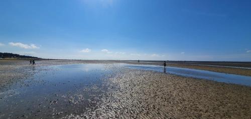 Ferienhaus Frische Brise direkt am Nordsee Deich