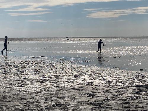 Ferienhaus Frische Brise direkt am Nordsee Deich