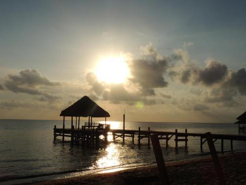 39116265 Parrot Cove Lodge