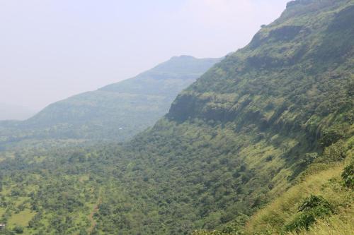 Shinde's Tikona Valley Farm