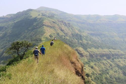 Shinde's Tikona Valley Farm