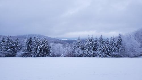 Landgasthof Steuber