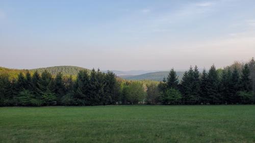 Landgasthof Steuber