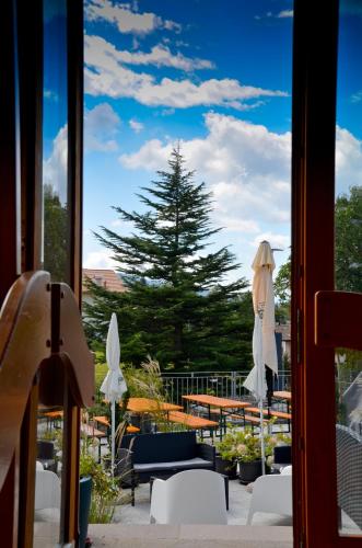 Hotel Villa Argentina Ronzone 4