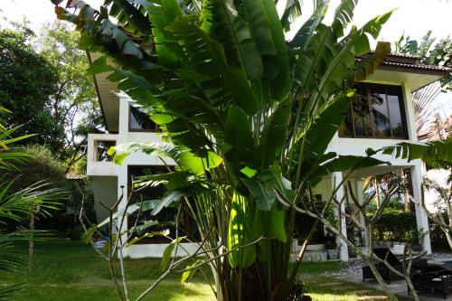 Twin Villas Apartment with Swimming Pool for 2 houses Twin Villas Apartment with Swimming Pool for 2 houses