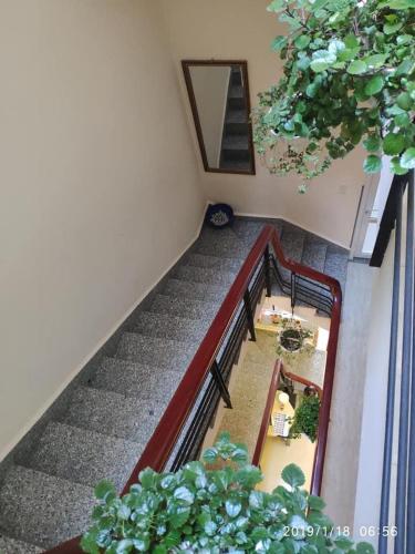 Pretty Backpackers House photo