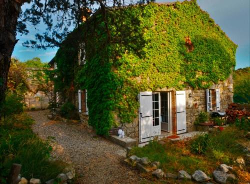 la Maison d'Annie - Chambre d'hôtes - Banne