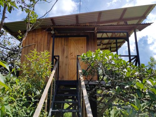 Costa Rica Tree Houses - 12 Places to Stay