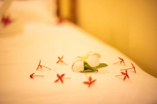Tranquil Thoddoo, Thoddoo (fotografie 3)