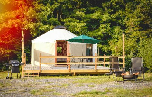 Eco Friendly Glamping Yurt In Roan Mountain Tn