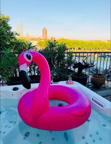 Coeur de Lyon avec Terrasse et Jacuzzi, Lyon (photo 8)