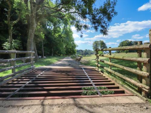 ทัศนียภาพภายนอกโรงแรม, Swandown, 2 Blackdown in อิลมินสเตอร์