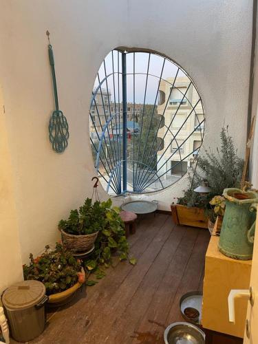 יסמינא- נוף למכתש רמון in Mitzpe Ramon