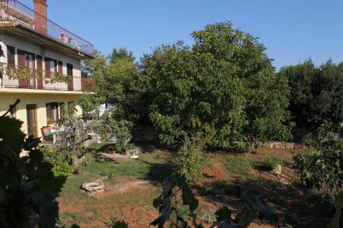 One-Bedroom Apartment with Terrace image 4