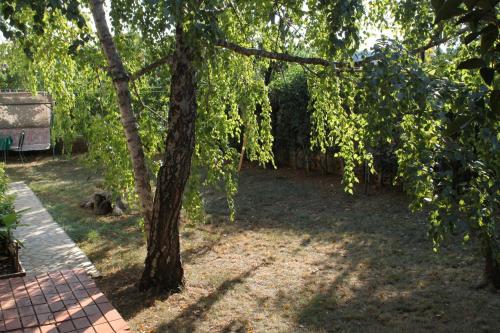 Double Room with Terrace image 1
