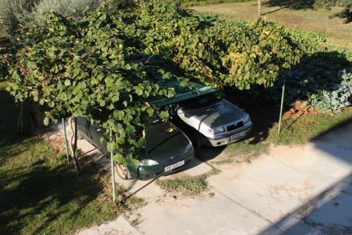Apartments with a parking space Valbandon Fazana - 7215 - image 4