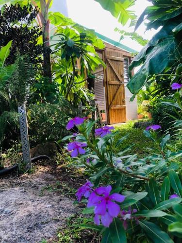 Au cœur des montagnes in Καπεστέρ-Μπελ-Ο