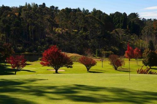 Stableford House on the Golf Course