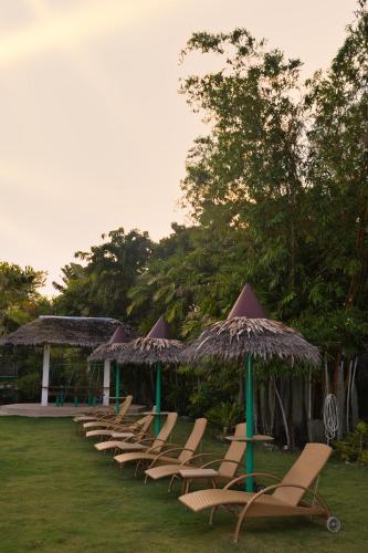 Garden, Marcosas Cottages Resort in Moalboal
