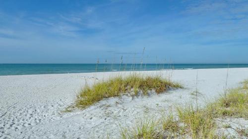 Emerald Isle #104 - image 14